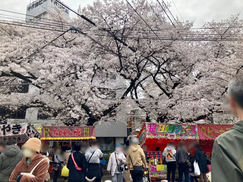 第51回相模原市民桜まつり_屋台