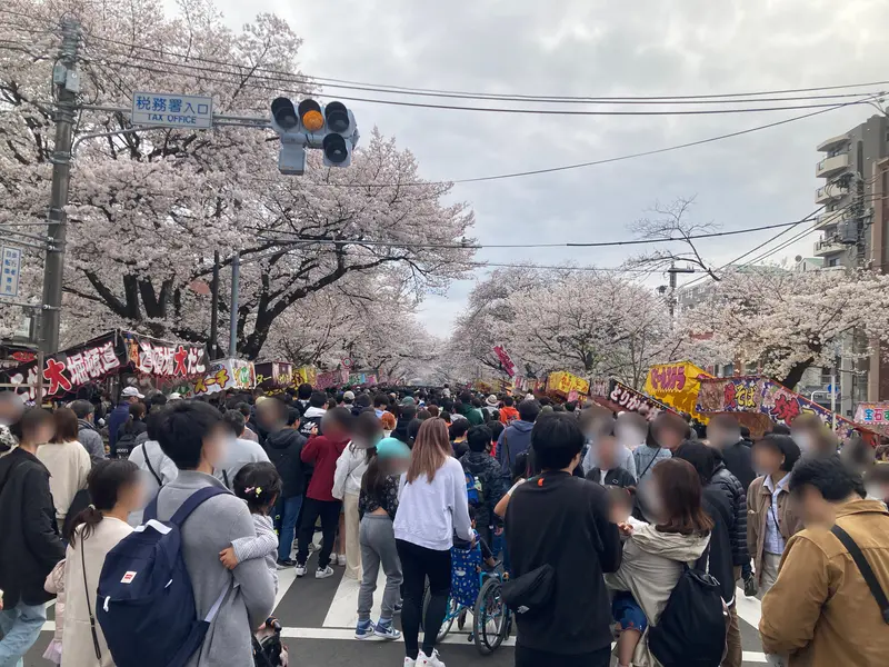 第51回相模原市民桜まつり_屋台のにぎわい