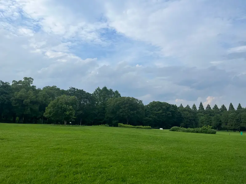 相模原公園_芝生広場