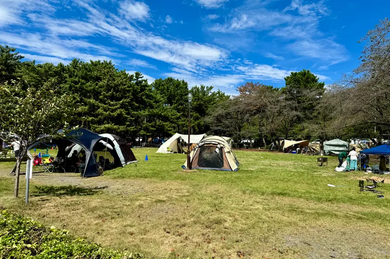 上大島キャンプ場　芝生サイト