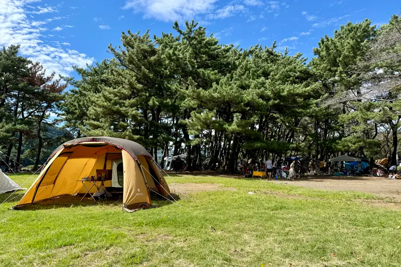 上大島キャンプ場　芝生サイト