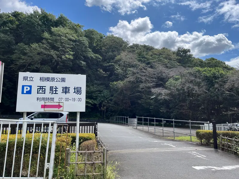 相模原公園_西駐車場