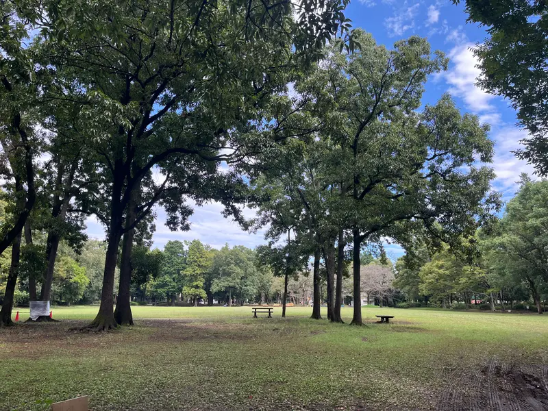 淵野辺公園_芝生広場