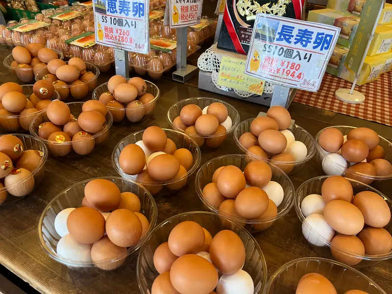 農場の家_初卵