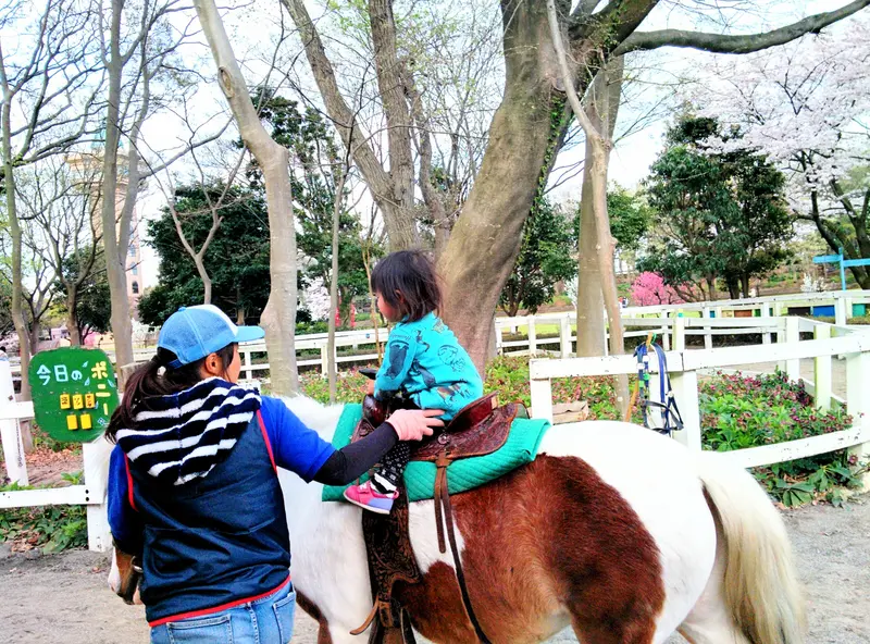 『相模原麻溝公園』ふれあい動物広場