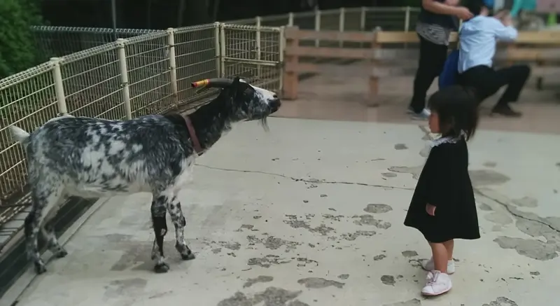 『相模原麻溝公園』ふれあい動物広場