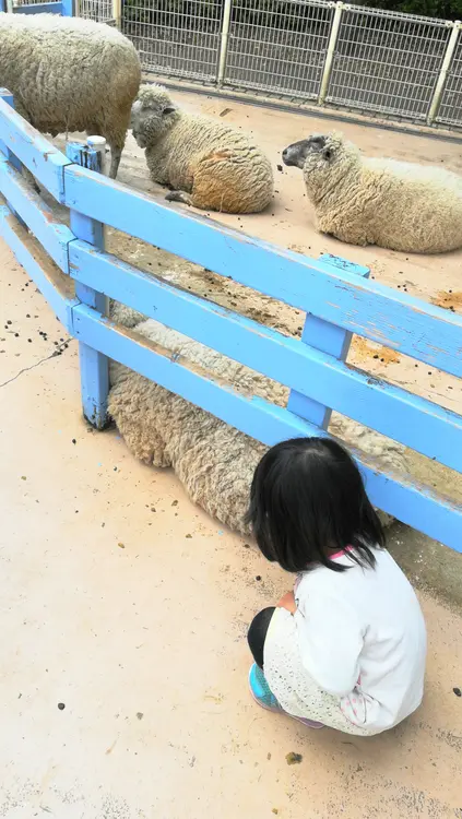 『相模原麻溝公園』ふれあい動物広場