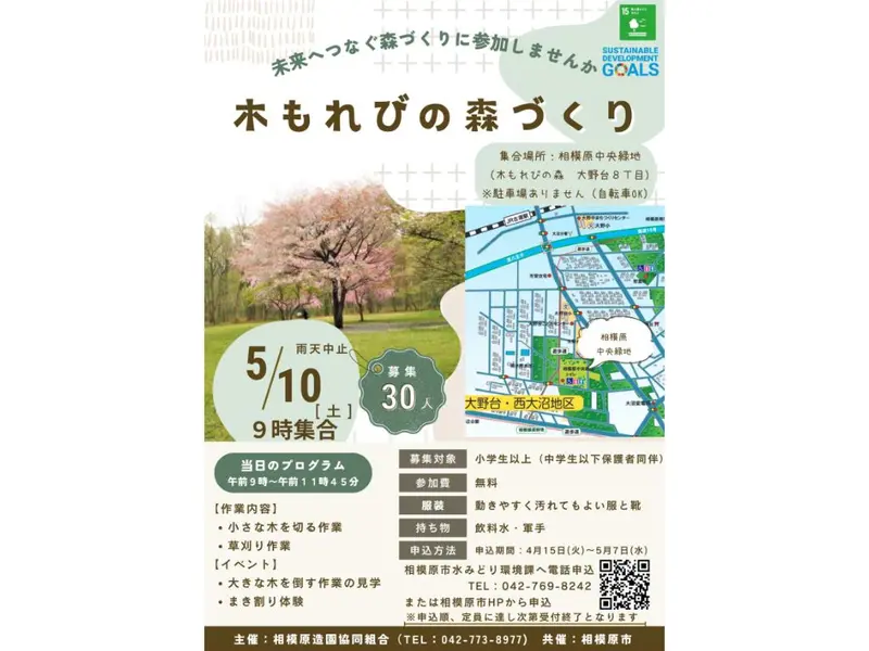 相模原中央緑地 木もれびの森づくり