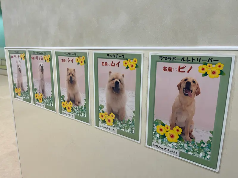 モッフル_プロフィール写真