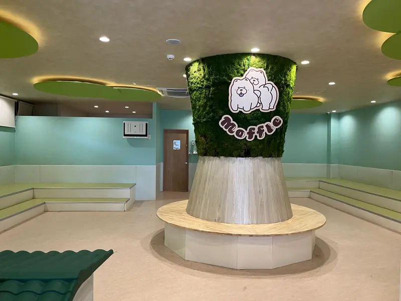 モッフル_店内