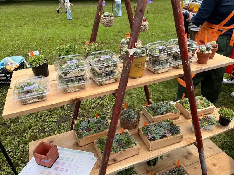 まるっと植物fes 寄せ植え