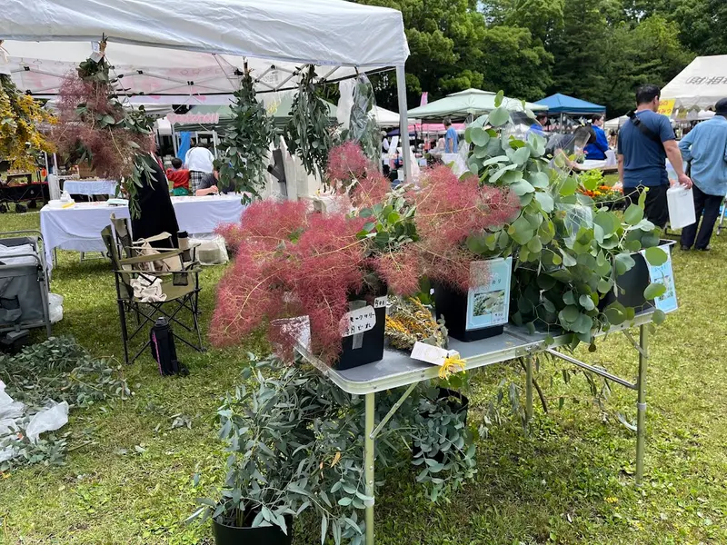 まるっと植物fes ドライフラワー