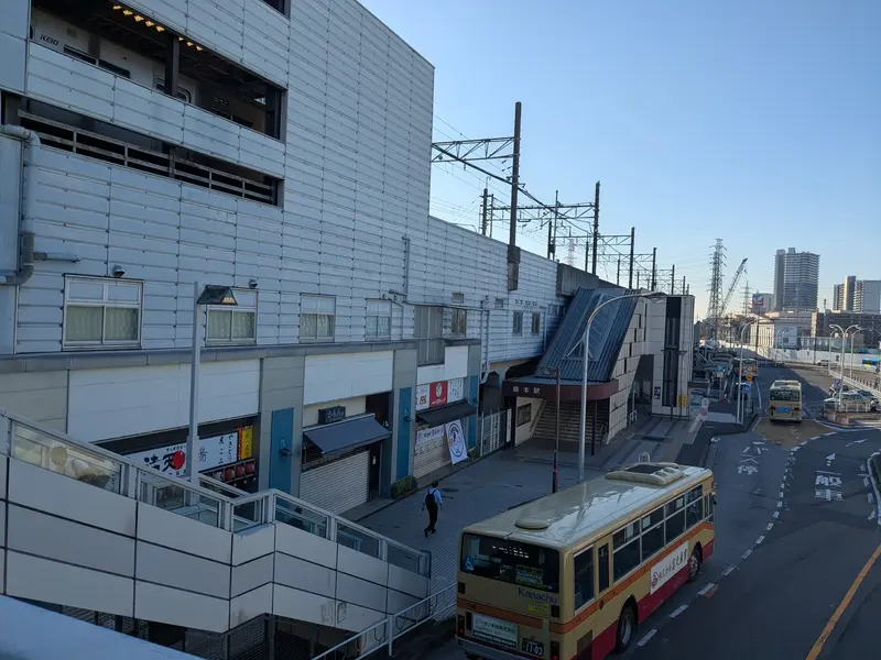 鶏ギャング遠目