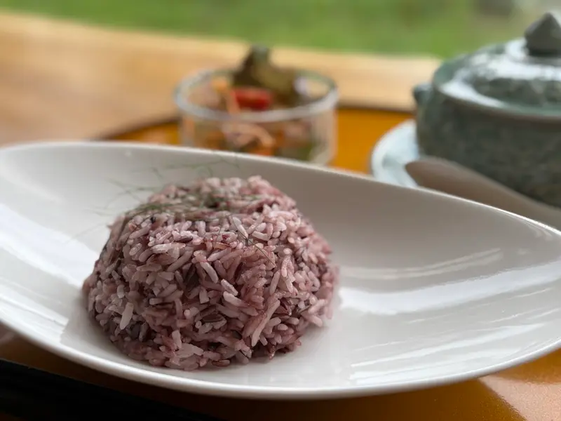 Thai teracce Ledu ライス