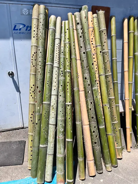 FUJINO BAMBOOARIUM　竹
