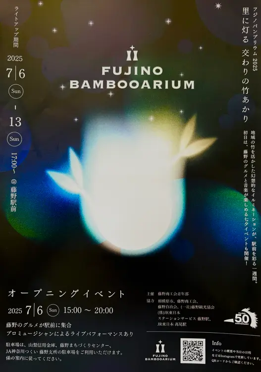 フジノバンブリウム チラシ