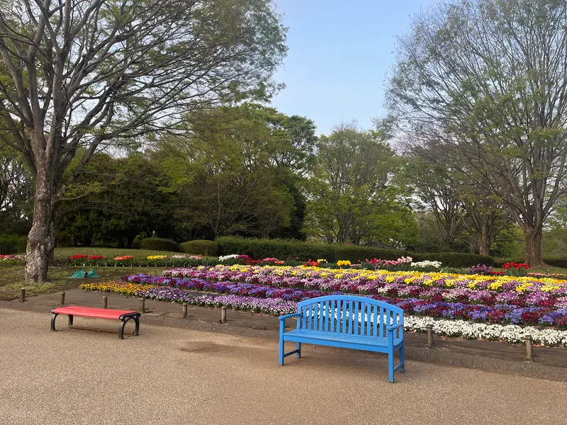 県立相模原公園