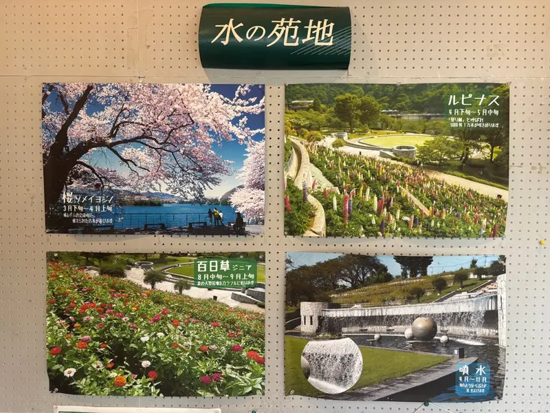 つくい湖湖上祭　水の苑地写真