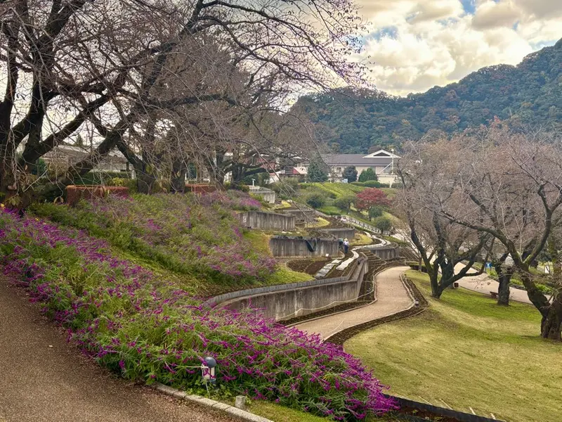 つくい湖湖上祭　公園