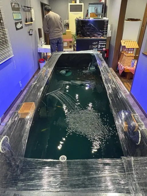 津久井の庵　釣り堀