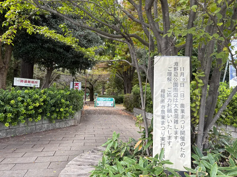 淵野辺公園