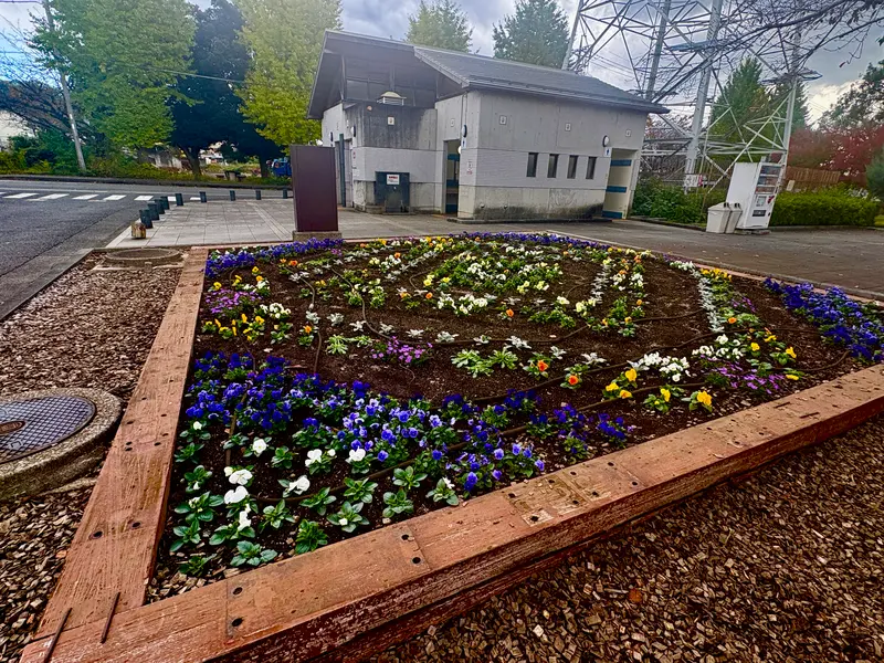 つくい湖湖上祭　花壇