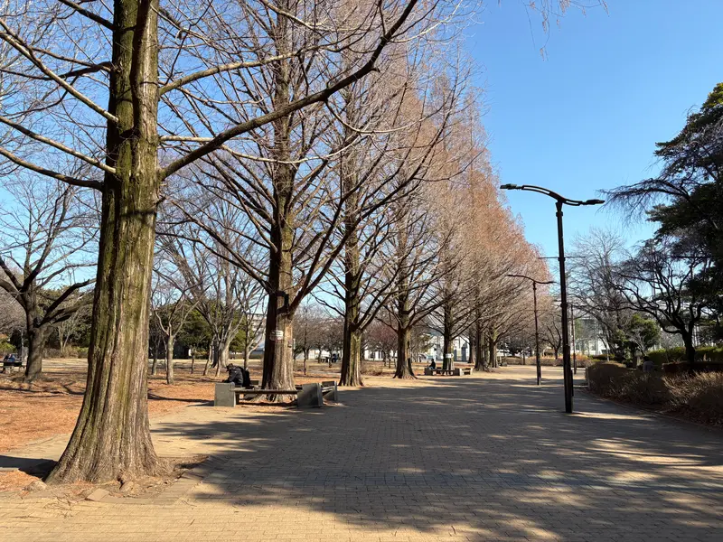 横山公園