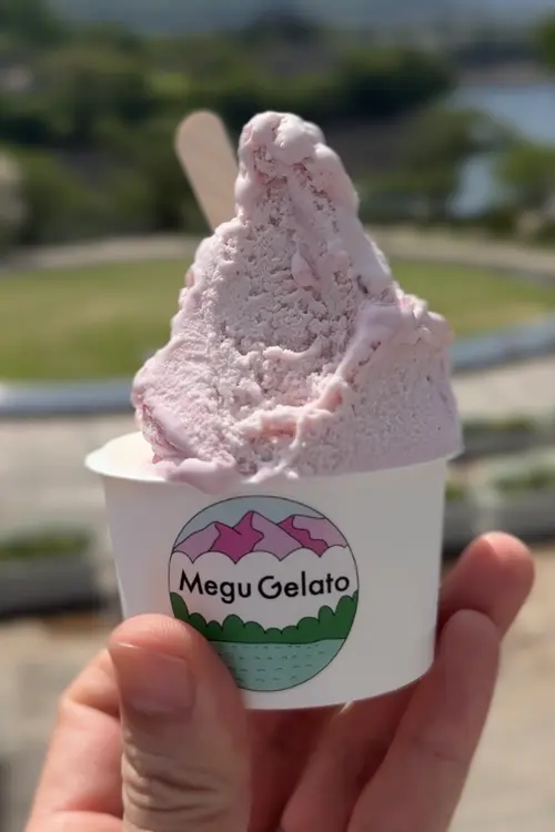 メグジェラート ベリーベリーチーズケーキ