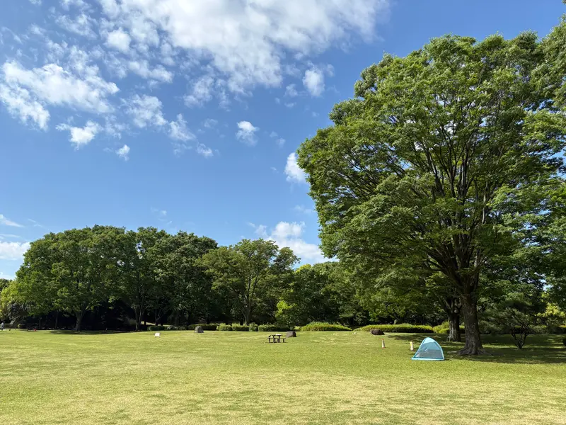 相模原公園_芝生広場