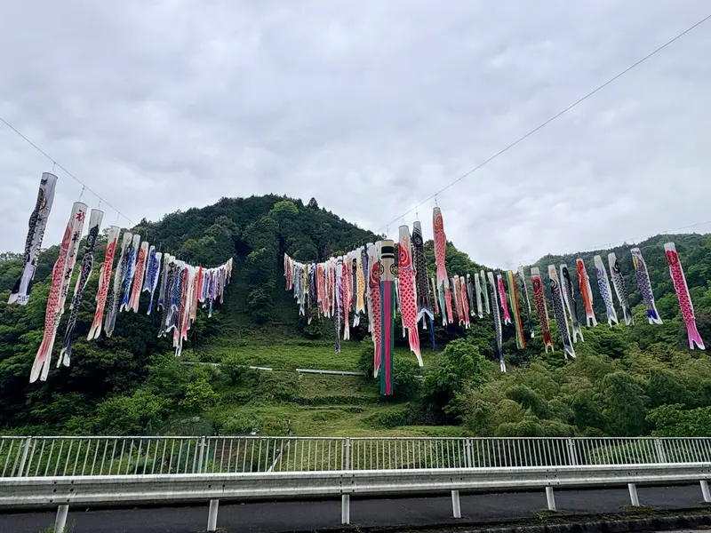 Marika　鯉のぼり