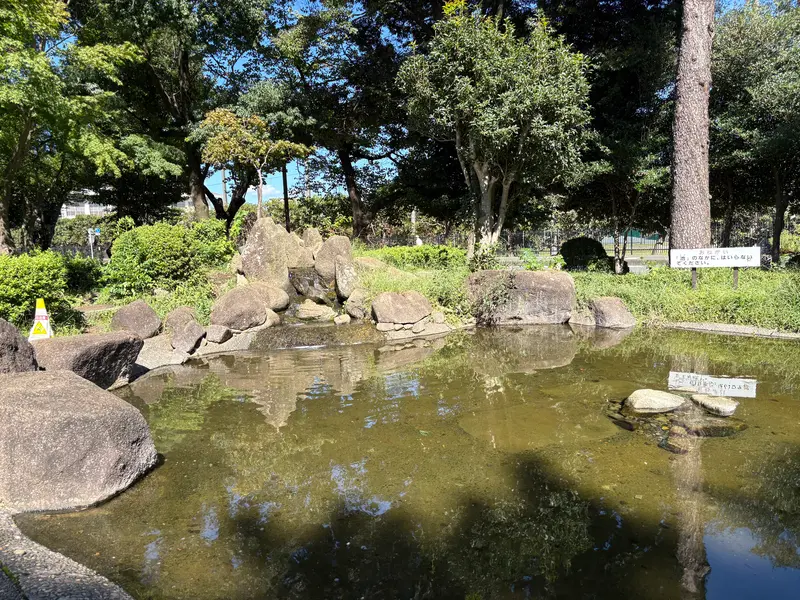 相模大野中央公園_池