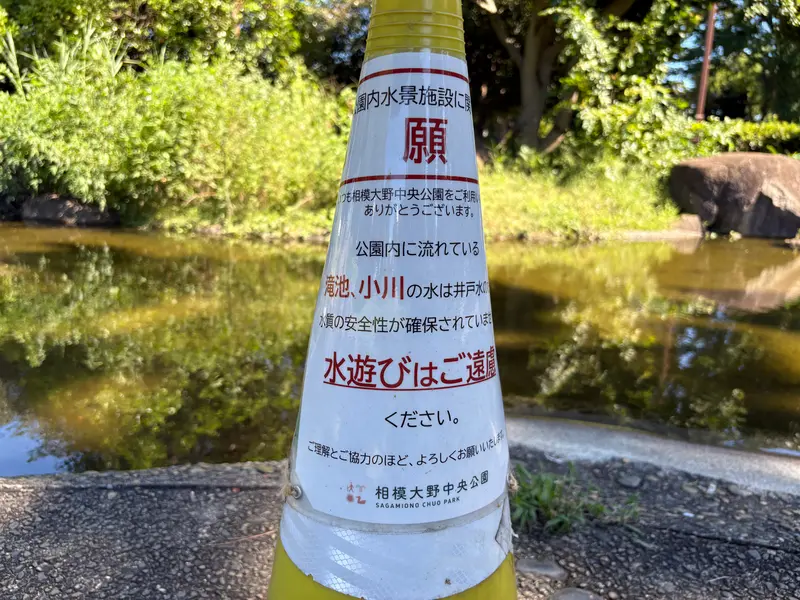 相模大野中央公園_池