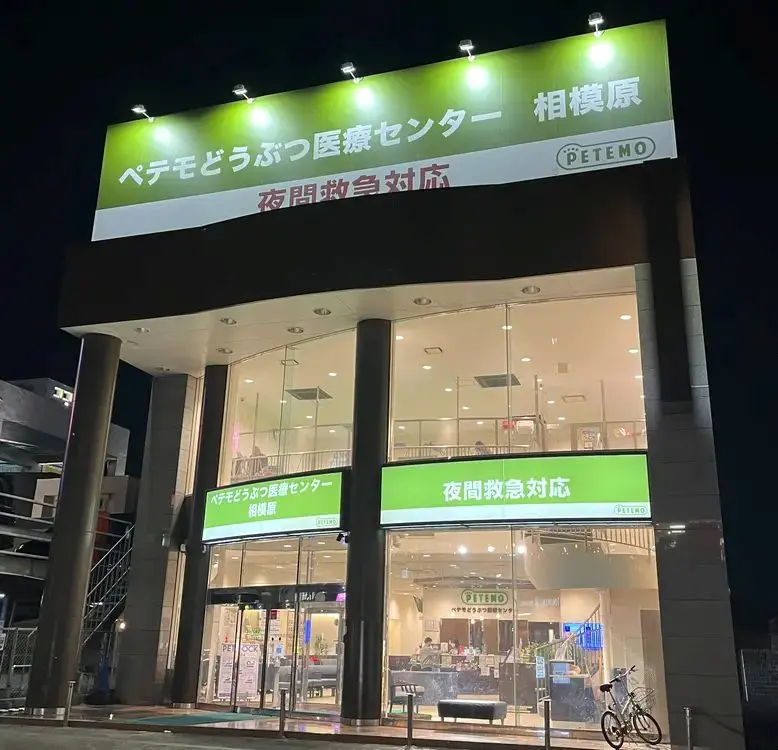移転前のぺテモ動物病院