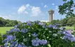 【6/14】アジサイ咲く相模原麻溝公園でマルシェ開催！体験やワークショップも