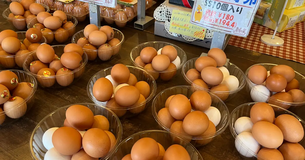 養鶏場のとれたて卵とこだわりスイーツが大人気！たまご街道の直売所