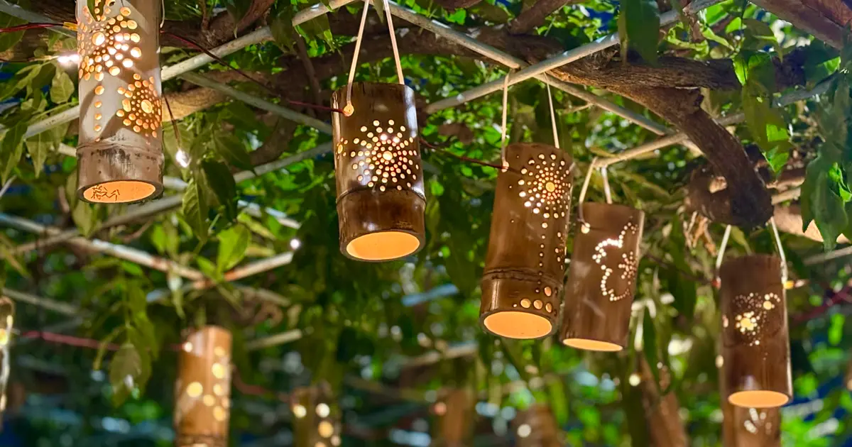 7/13まで】竹あかりの森に迷いこむ8日間。『フジノバンブリウム 2025