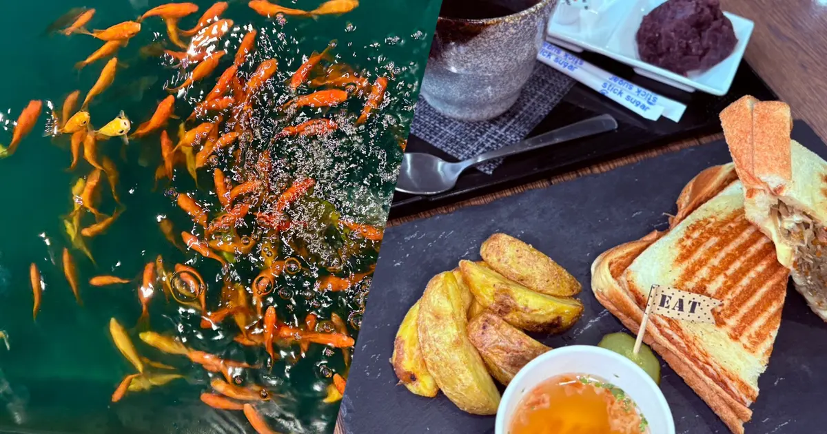 おいしいメニューと魚釣りの二刀流！アミューズメントカフェ『津久井