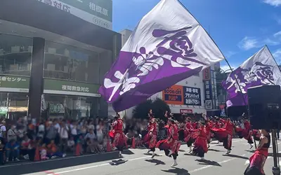 エネルギッシュな演舞が魅力！2024『相模原よさこいRANBU！』の様子をレポート