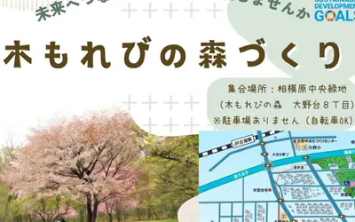 木を切って、薪を割る！自然体験イベント『木もれびの森づくり』5/10開催！