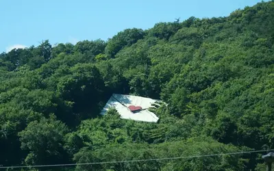 中央道から見える“緑のラブレター”ふもとで開催！秋の味覚と芸術が彩る『藤野ふる里まつり』【10/26】