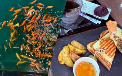 おいしいメニューと魚釣りの二刀流！アミューズメントカフェ『津久井乃庵(いほり)』