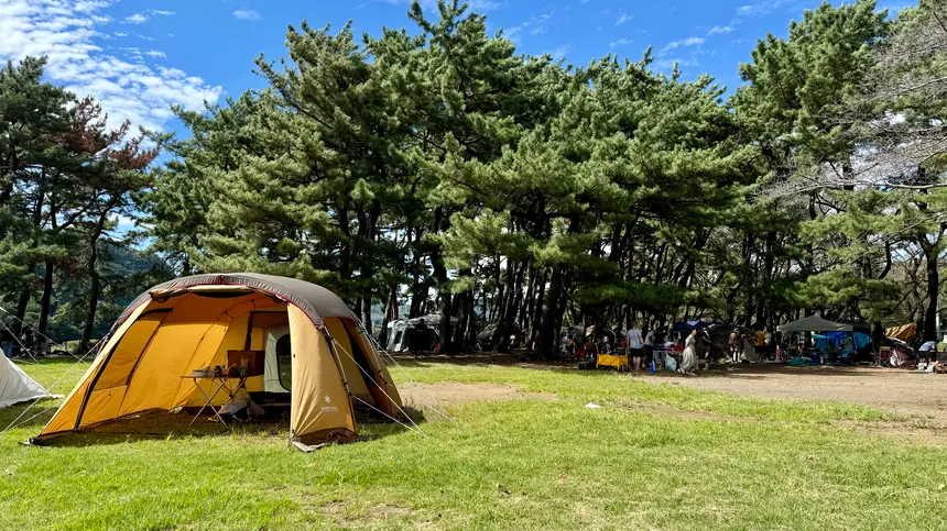 近くて気軽で安い！相模川沿い『上大島キャンプ場』は初心者やファミリーにおすすめ！