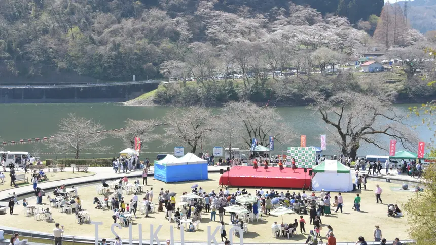 津久井湖城山公園 水の苑地