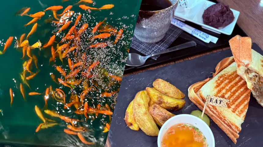 おいしいメニューと魚釣りの二刀流！アミューズメントカフェ『津久井乃庵(いほり)』