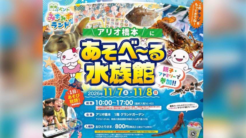 サメやヒトデに触れられる！『あそべ～る水族館』11/7・8開催